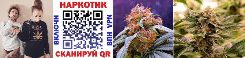 Названия наркотиков Гатчина Cocaine МЕФ Alpha PVP Гашиш