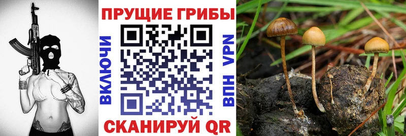 Галлюциногенные грибы мухоморы  купить  цена  Гатчина 